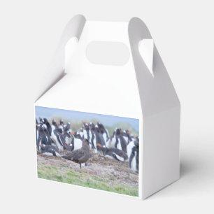 ペンギン素晴らしコロニーの前のシュア フェイバーボックス