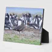 ペンギン素晴らしコロニーの前のシュア フォトプラーク (側面)