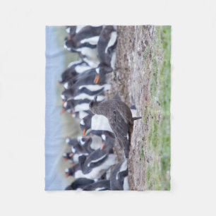 ペンギン素晴らしコロニーの前のシュア フリースブランケット