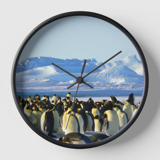 ペンギン群氷 壁時計