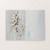 ペンギン群 ジグソーパズル (横)