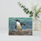 ペンギン翼 ポストカード (スタンド正面)