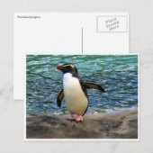 ペンギン翼 ポストカード (正面/裏面)