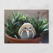 ペンギン色彩の鮮やかスストーン写真はがき ポストカード (正面)