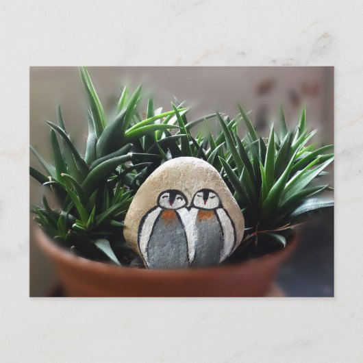 ペンギン色彩の鮮やかスストーン写真はがき ポストカード (正面)