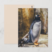 ペンギン製の孤児葉書 ポストカード (正面/裏面)