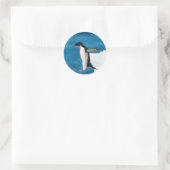 ペンギン跳び上げシール ラウンドシール (バッグ)