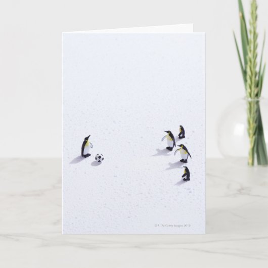 ペンギン遊のサッカー カード (正面)