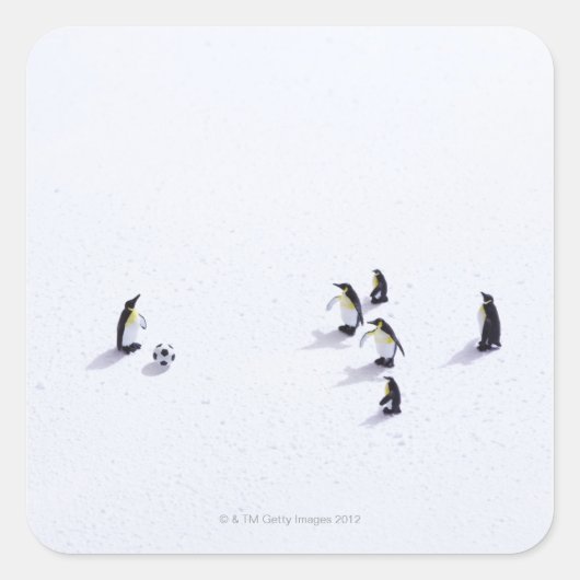 ペンギン遊のサッカー スクエアシール (正面)