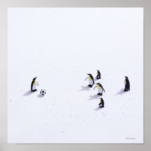 ペンギン遊のサッカー ポスター (正面)