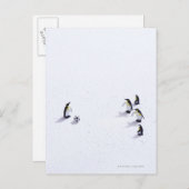 ペンギン遊のサッカー ポストカード (正面/裏面)