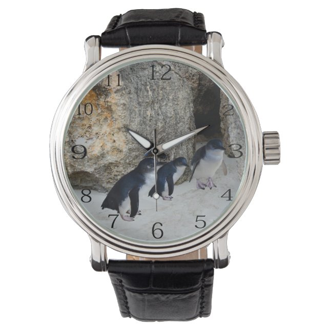 ペンギン達のビーチハウス 腕時計 (正面)