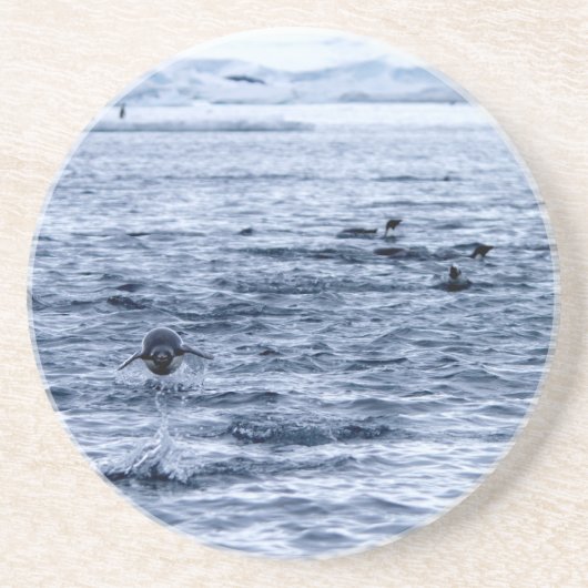 ペンギン飛んでいる コースター (正面)