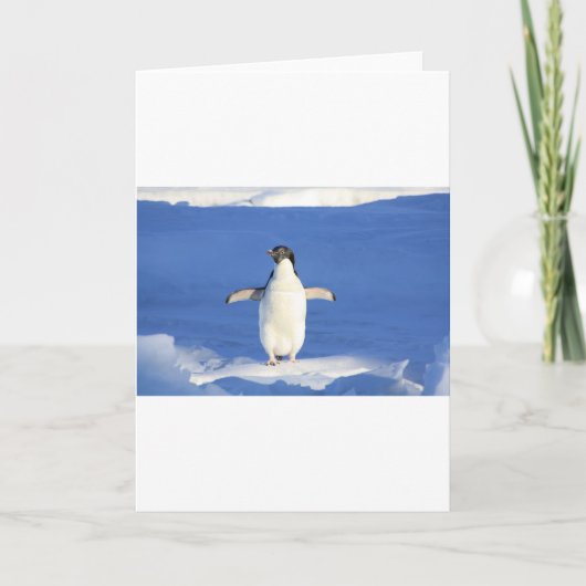 ペンギン鳥の羽の白黒個人名 カード (正面)