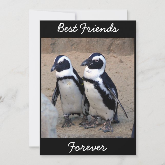 ペンギン (正面)