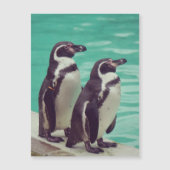 ペンギン (正面)