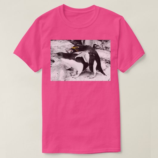 ペンギン2 Tシャツ (デザイン正面)