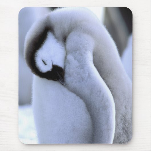 ペンギン | ウェッデル海の南極半島 マウスパッド (正面)