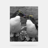 ペンギン+カラースプラッシュ アクリルサイン (正面)