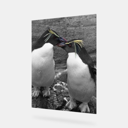 ペンギン+カラースプラッシュ アクリルサイン (傾斜)