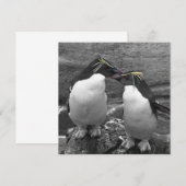 ペンギン カラー スプラッシュ セーブザデート (正面/裏面)