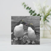 ペンギン カラー スプラッシュ セーブザデート (スタンド正面)