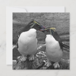 ペンギン カラー スプラッシュ セーブザデート