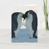 ペンギン カード (正面)
