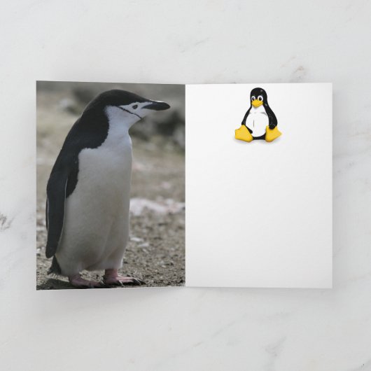 ペンギン カード (内部)