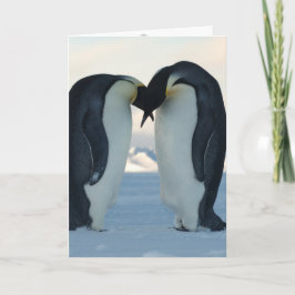 ペンギン カード