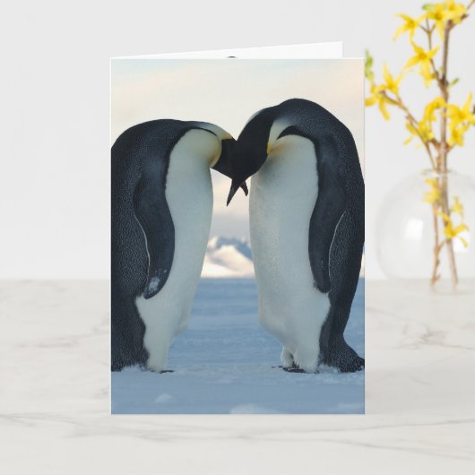 ペンギン カード (黄色い花)