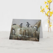 ペンギン カード (黄色い花)