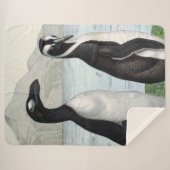 ペンギン – ビーチタオル シェルパブランケット (正面(横))