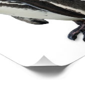 ペンギン フォトプリント            (角)