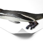 ペンギン フォトプリント            (角)