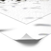 ペンギン ポスター (コーナー)