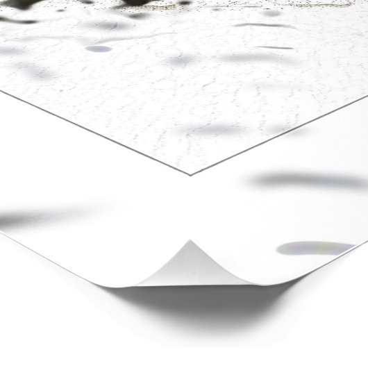 ペンギン ポスター (コーナー)