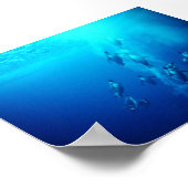 ペンギン ポスター (角)