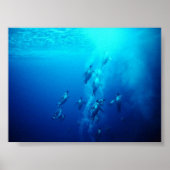 ペンギン ポスター (正面)