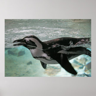 ペンギン ポスター