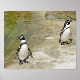ペンギン ポスター