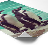 ペンギン ポスター (角)