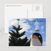 ペンギン ポストカード (正面/裏面)