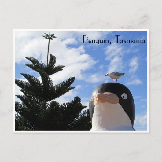 ペンギン ポストカード (正面)