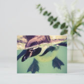 ペンギン ポストカード (スタンド正面)