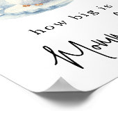 ペンギン – ママの腹の大きさ ポスター (角)