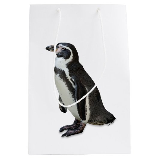 ペンギン ミディアムペーパーバッグ (正面)