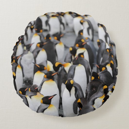 ペンギン ラウンドクッション (正面)