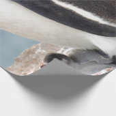 ペンギン ラッピングペーパー (角)