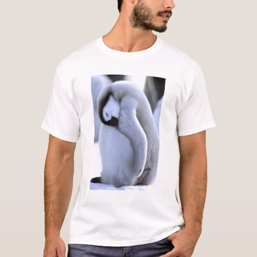 ペンギン | 南極半島、ウェッデル海 Tシャツ (正面)